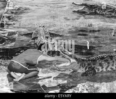 Crocodile show a Samphran Crocodile Farm il 24 maggio 2014 in Nakhon Pathom,della Thailandia. Foto Stock