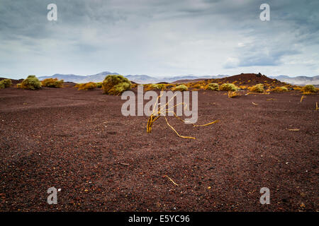 Scene intorno a Red Hill cono di scorie lungo l'autostrada 395 nella contea di Inyo vicino al piccolo lago California Foto Stock