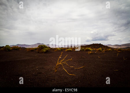 Scene intorno a Red Hill cono di scorie lungo l'autostrada 395 nella contea di Inyo vicino al piccolo lago California Foto Stock