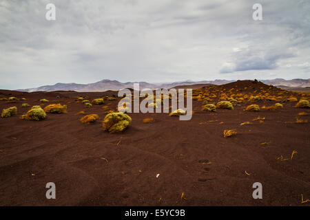 Scene intorno a Red Hill cono di scorie lungo l'autostrada 395 nella contea di Inyo vicino al piccolo lago California Foto Stock