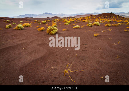 Scene intorno a Red Hill cono di scorie lungo l'autostrada 395 nella contea di Inyo vicino al piccolo lago California Foto Stock