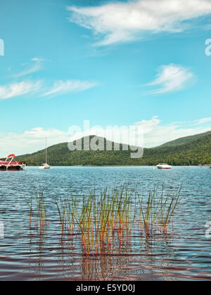 Lanca nell'Adirondack State Park, New York Foto Stock