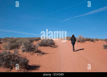 Donna che cammina in mezzo a un deserto, a Ferro di Cavallo Bend, Glen Canyon National Recreation Area, Arizona-Utah, STATI UNITI D'AMERICA Foto Stock