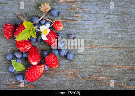 Piccolo fresco fragole di bosco e mirtilli con copia spazio sul vecchio blu sullo sfondo di legno Foto Stock