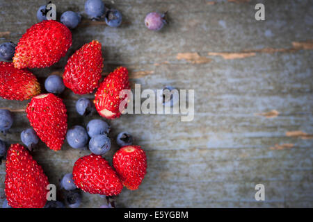 Piccolo fresco fragole di bosco e mirtilli sul vecchio blu sullo sfondo di legno con spazio di copia Foto Stock