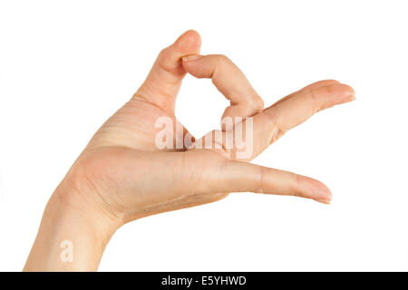 Mano Azienda Carta Virtuale-XXXL Foto Stock