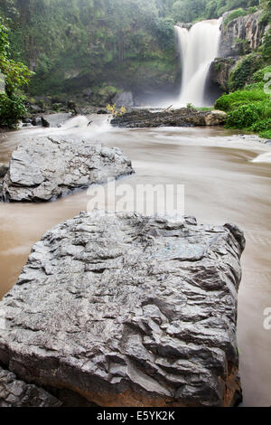 Forza della natura si rivela con lunghi tempi di esposizione di immagine tegenungan cascate di Bali, Indonesia. scenic cascata in una giungla lussureggiante impostazione Foto Stock