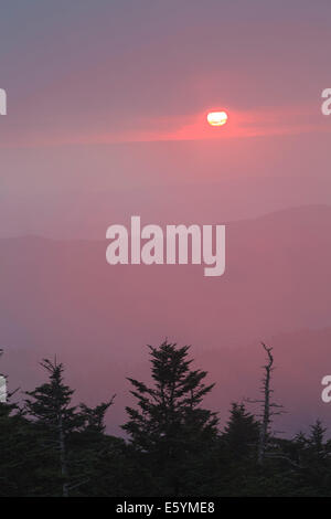 Vista dal Clingmans Dome torre di osservazione, il Parco Nazionale di Great Smoky Mountains Foto Stock