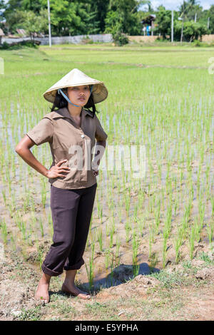 Giovane agricoltore asiatici nel campo di riso Foto Stock