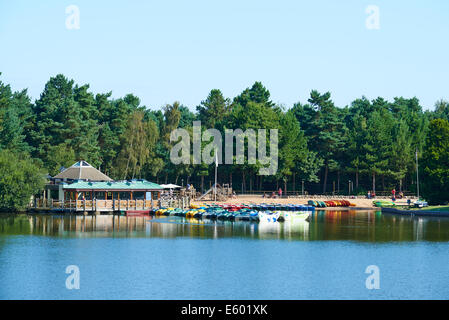 Vista sul lago di sport acquatici verso il boathouse, Spiaggia e Pancake House Center Parcs Foresta di Sherwood NOTTINGHAMSHIRE REGNO UNITO Foto Stock