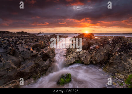 Poco Fistral Beachat Newquay in Cornovaglia, una piccola baia a nord del principale Fistral Beach Foto Stock