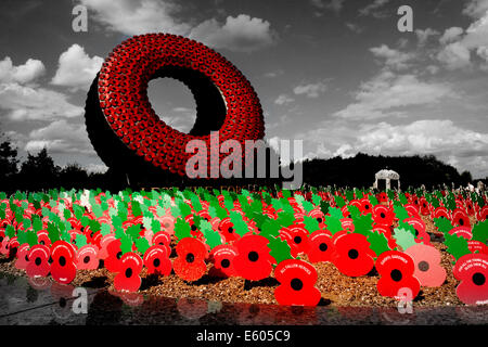 Tutti gli eroi caduti. Poppies in mai dimenticare Memorial Garden presso il National Memorial Arboretum, Alrewas, Staffordshire. Foto Stock