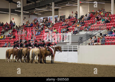 Calgary Stampede a cavallo in arena Foto Stock
