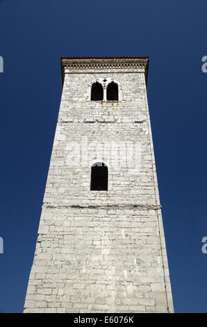 Chiesa dell'Assunzione della Beata Vergine Maria e la Torre di Pisa Foto Stock