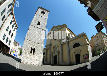 Chiesa dell'Assunzione della Beata Vergine Maria e la Torre di Pisa Foto Stock