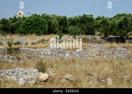 Zante Grecia - muretti a secco Foto Stock