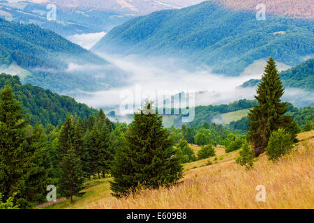 Mattina paesaggio estivo in Apuseni Mountains-Romania Foto Stock