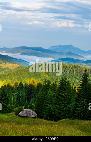 Mattina paesaggio estivo in Apuseni Mountains-Romania Foto Stock