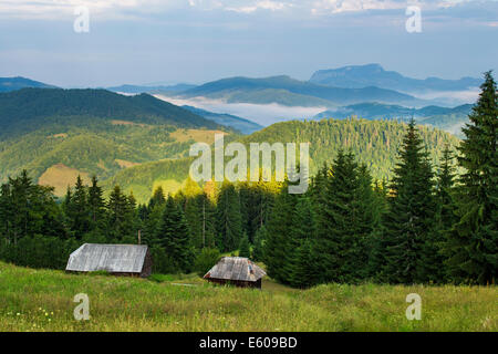 Mattina paesaggio estivo in Apuseni Mountains-Romania Foto Stock