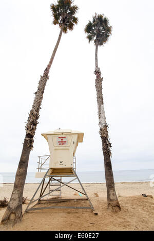 Gli Stati Uniti, California, Santa Barbara, bagnino torre sulla spiaggia circondata da due California palme della ventola Foto Stock