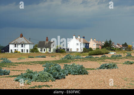 La frazione di strada di ciottoli, Suffolk, Regno Unito. Foto Stock