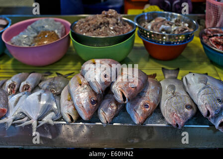 Catture giornaliere di pesce fresco in esposizione e in vendita in un mercato thailandese. S. E. Asia Foto Stock