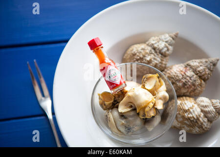 Piastra del British conchiglia con salsa piccante Foto Stock