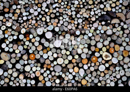 Palo di legno a Lier, Norvegia. Ordinatamente impilati logs tagliati da diversi tipi di alberi Foto Stock