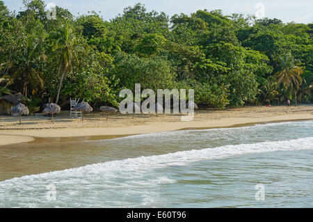 Foglia di palma ombrelloni di paglia su una spiaggia di sabbia con una lussureggiante vegetazione tropicale, Mar dei Caraibi Foto Stock