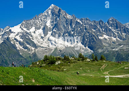 L'Aiguille Verte visto da Planpraz sul lato opposto della valle di Chamonix in Haute Savoie, Francia. Foto Stock