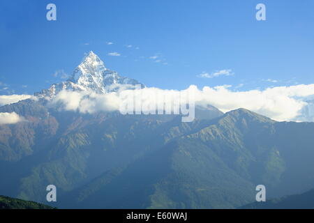 Il 6993 ms.alta Machhapuchhre-Machapuchare-pesci.s Tail visto da Dhampus villaggio sul AnnapurnasTour percorso di trekking. Foto Stock