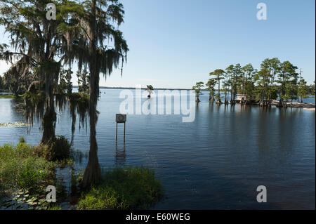 A Cypress lake Cove in Lake County Florida Centrale Foto Stock