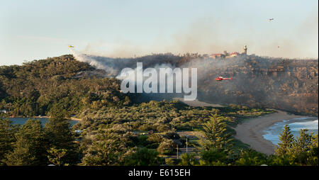 Elicotteri acqua-bomba an fuori controllo bush fuoco sulla capezzagna Barrenjoey Palm Beach New South Wales AUSTRALIA 28/09/2013 Foto Stock