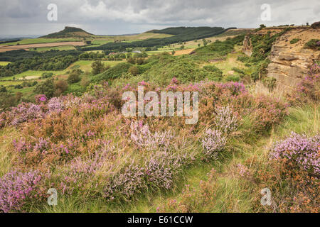 Una vista della collina, Roseberry Topping, dal vicino Cliff Ridge boschi, North Yorkshire. Roseberry Topping sorge sopra il paesaggio locale. Foto Stock