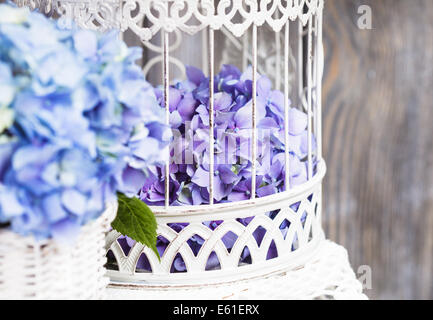 I fiori delle ortensie in bianco birdcage. Decorazioni di fiori per la casa Foto Stock