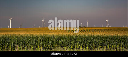 Pomeroy, Iowa - una fattoria eolica nelle zone rurali di Iowa. Iowa ha la più alta densità di produzione di energia eolica di qualsiasi stato degli Stati Uniti. Foto Stock