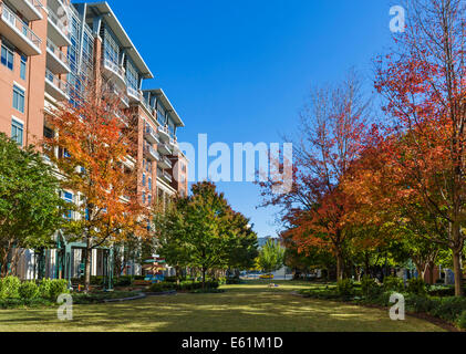 Il verde appena fuori South Tryon Street nel centro cittadino di Charlotte, North Carolina, STATI UNITI D'AMERICA Foto Stock