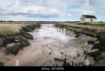 Un vecchio capannone in Wallasea Island in Essex. Foto Stock