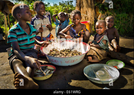 La pesca è la principale attività economica per le famiglie che vivono nel e intorno al Bangweulu zone umide, Zambia, compresi quelli per i bambini. Foto Stock