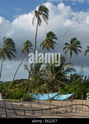 Barche da pesca in una spiaggia vicino a Tangalle, sulla costa meridionale dello Sri Lanka, che è stata duramente colpita dallo tsunami del 2004 Foto Stock