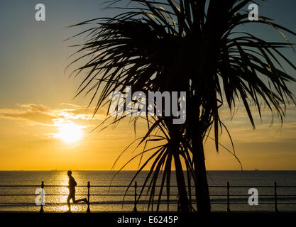 Seaton Carew, Hartlepool, Regno Unito. 12 Ago, 2014. Meteo: la calma dopo la tempesta in un tropicale cercando Seaton Carew a sunrise. Pareggiatore rende la maggior parte del tempo calme su un glorioso (12th) mattina sulla costa nord est. Luminoso e arioso showery meteo Le previsioni per i prossimi giorni. Credito: ALANDAWSONPHOTOGRAPHY/Alamy Live News Foto Stock