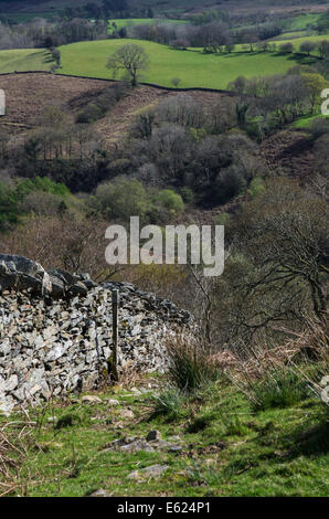 Asciugare la parete in pietra a Llan Ffestiniog, Snowdonia, Gwynedd Foto Stock