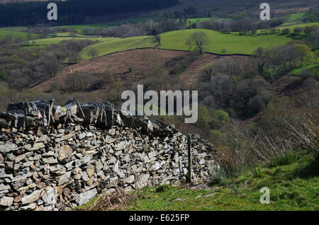 Asciugare la parete in pietra a Llan Ffestiniog, Snowdonia, Gwynedd Foto Stock