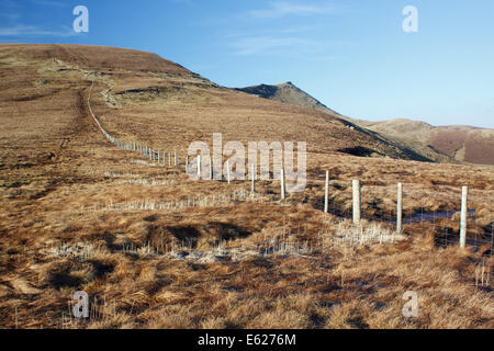 La vista di fronte al monte Cadair Berwyn dalle pendici del Moel Synch ed, in Berwyn mountain range del Galles del Nord Foto Stock