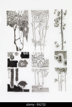 Abstract fatto a mano disegno a inchiostro di rami e alberi, illustrazione vintage Foto Stock