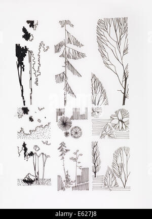 Fatto a mano disegno a inchiostro di rami e alberi, illustrazione vintage Foto Stock