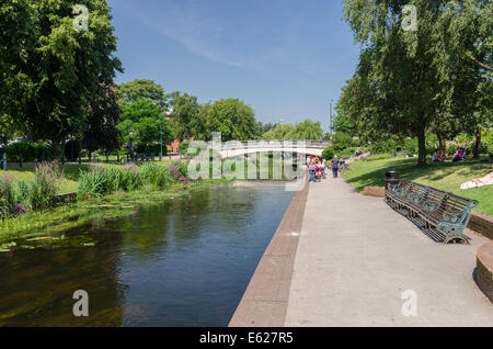 La scrofa di fiume che scorre attraverso il Victoria Park nel centro di Stafford Foto Stock