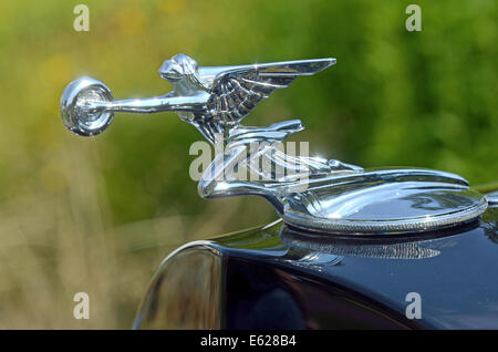 Juechen, Germania. 2 agosto, 2014. Una cappa di Packard è ornamento sul display sul cofano del motore di un Packard 'Super otto 1004 Victoria" convertibile modello di vettura costruita nel 1933 durante il classico giorni " vintage car show a Dyck palace in Juechen, Germania, 2 agosto 2014. Foto: Horst Ossinger/dpa - nessun filo SERVICE -/dpa/Alamy Live News Foto Stock