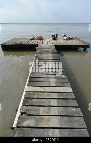 Un gruppo di lucertole da mare godere il caldo sole di un pontile proteso sul alle calme acque del Mare del Nord sulla spiaggia od Dangast, Germania, 2 agosto 2014. Foto: Carmen Jaspersen/dpa Foto Stock