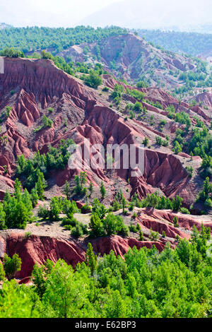 Ourika Valley & Kasbah Hotel,fresca aria di montagna,fertili valli verdi con Snow capped Alto Atlante Mountain Range,Villaggi,Marocco Foto Stock